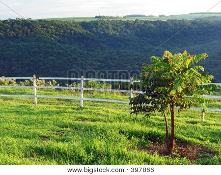Landscape