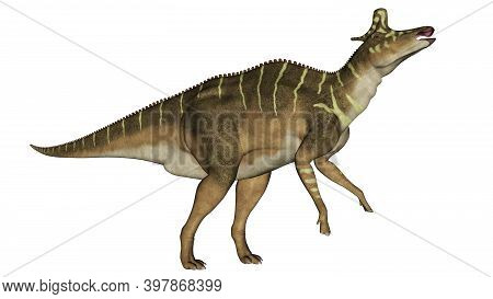 Lambeosaurus Dinosaur Eating Head Up Isolated In White Background - 3d Render