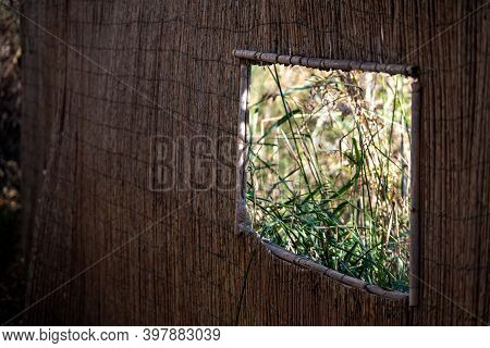 Brown Wooden Window With Lots Of Greenery