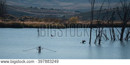 Lagoon With Submerged Electric Poles With Birds Flying Over It
