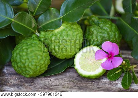 Fresh Bergamot Fruit And Pink Flower, Kaffir Lime, Citrus Bergamia With Leaf On Wooden Table, Slice 
