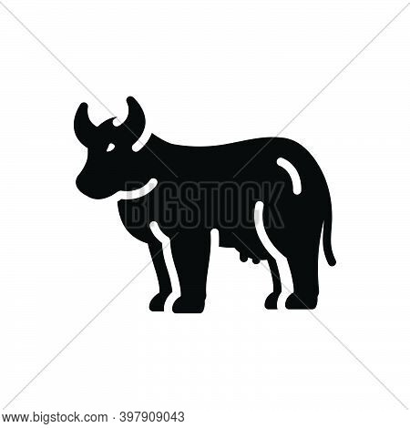 Black Solid Icon For Cow Farming Bossy Livestock Useful Dairy Cattle Give-milk Milk Farm Heifer Bree