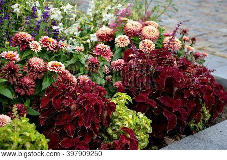 Perennial Flower Beds With Annual Plantations On The Edge Of The Flower Bed In Paving On The Granite