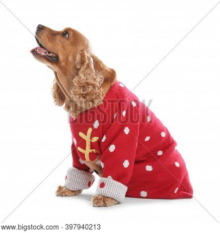 cocker spaniel christmas sweater