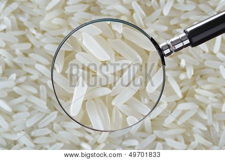 Jasmine Rice