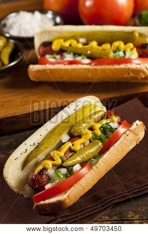 Chicago Style Hot Dog