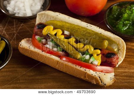 Chicago Style Hot Dog