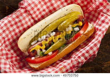 Chicago Style Hot Dog
