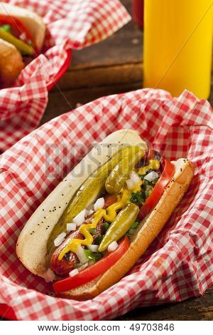 Chicago Style Hot Dog