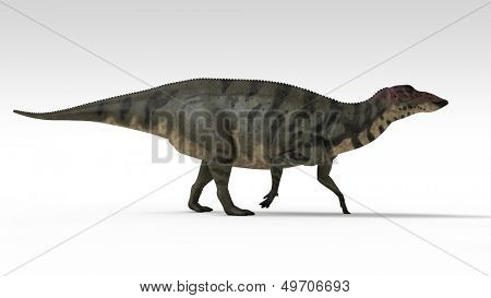 Wandern Shuangmiaosaurus isoliert auf weiss
