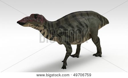 Wandern Shuangmiaosaurus isoliert auf weiss