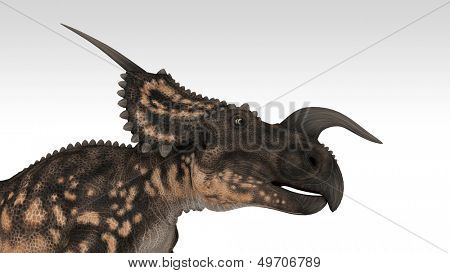 einiosaurus 절연