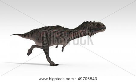 Majungasaurus izolované