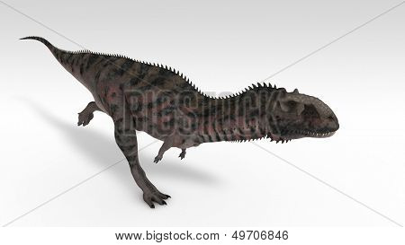 Majungasaurus izolované