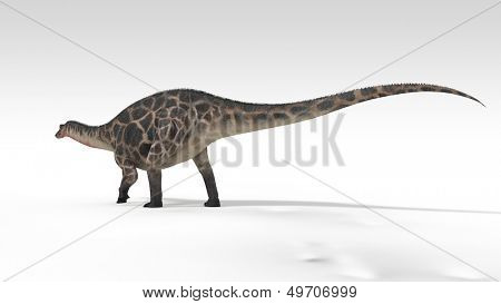 dicraeosaurus ที่แยกต่างหาก