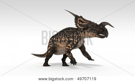 Einiosaurus isolerade