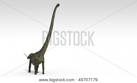 mamenchisaurus 절연