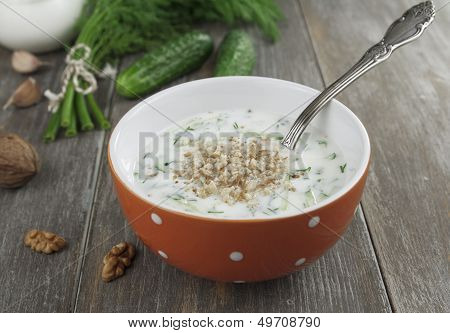 Tarator, Bulgarian Sour Milk Soup