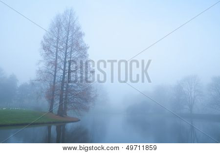 Trees By Lake In Fog During Autumn