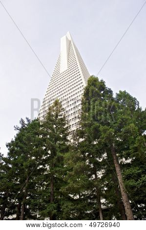 Low angle view of the Transamerica Pyramid San Francisco designed by William Pereira