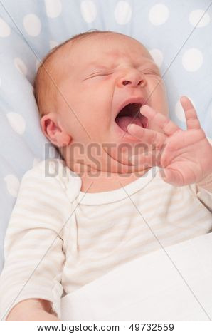 Newborn Baby