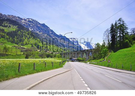 Viaduct And Road