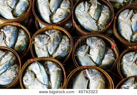 Fish in barrels for sell at market in Bangkok