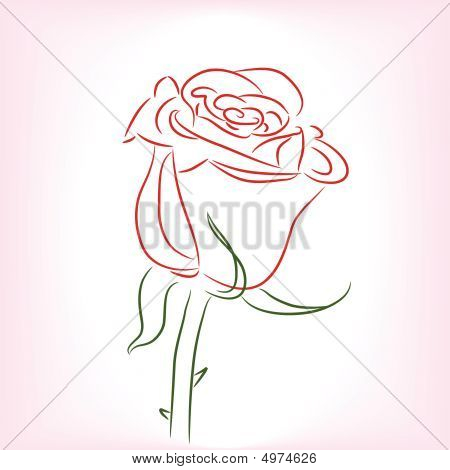 Singola rosa rossa
