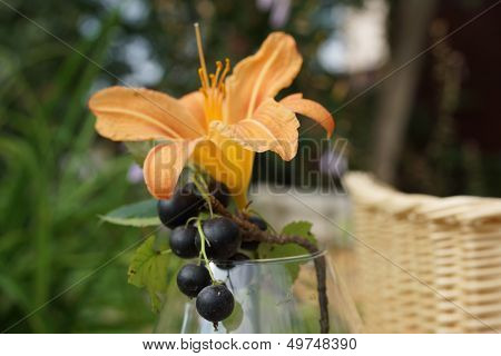 Black Currants On A Branch.
