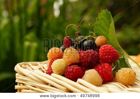 Raspberry, Black Currant And One Strawberry.