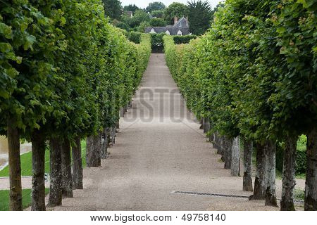 Villandry chateau and its garden, Loire Valley, France