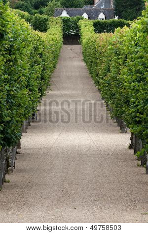 Villandry chateau and its garden, Loire Valley, France