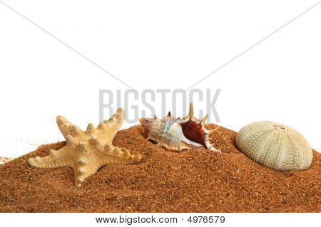 Spiaggia
