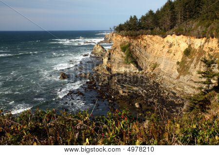 Retratos de costa de Oregon