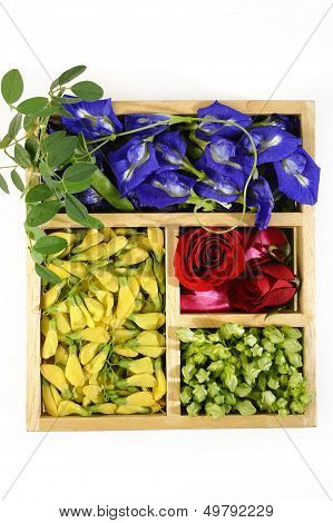 Asian Pigeonwings Flower,sesbania, Cowslip Creeper And Rose Flower