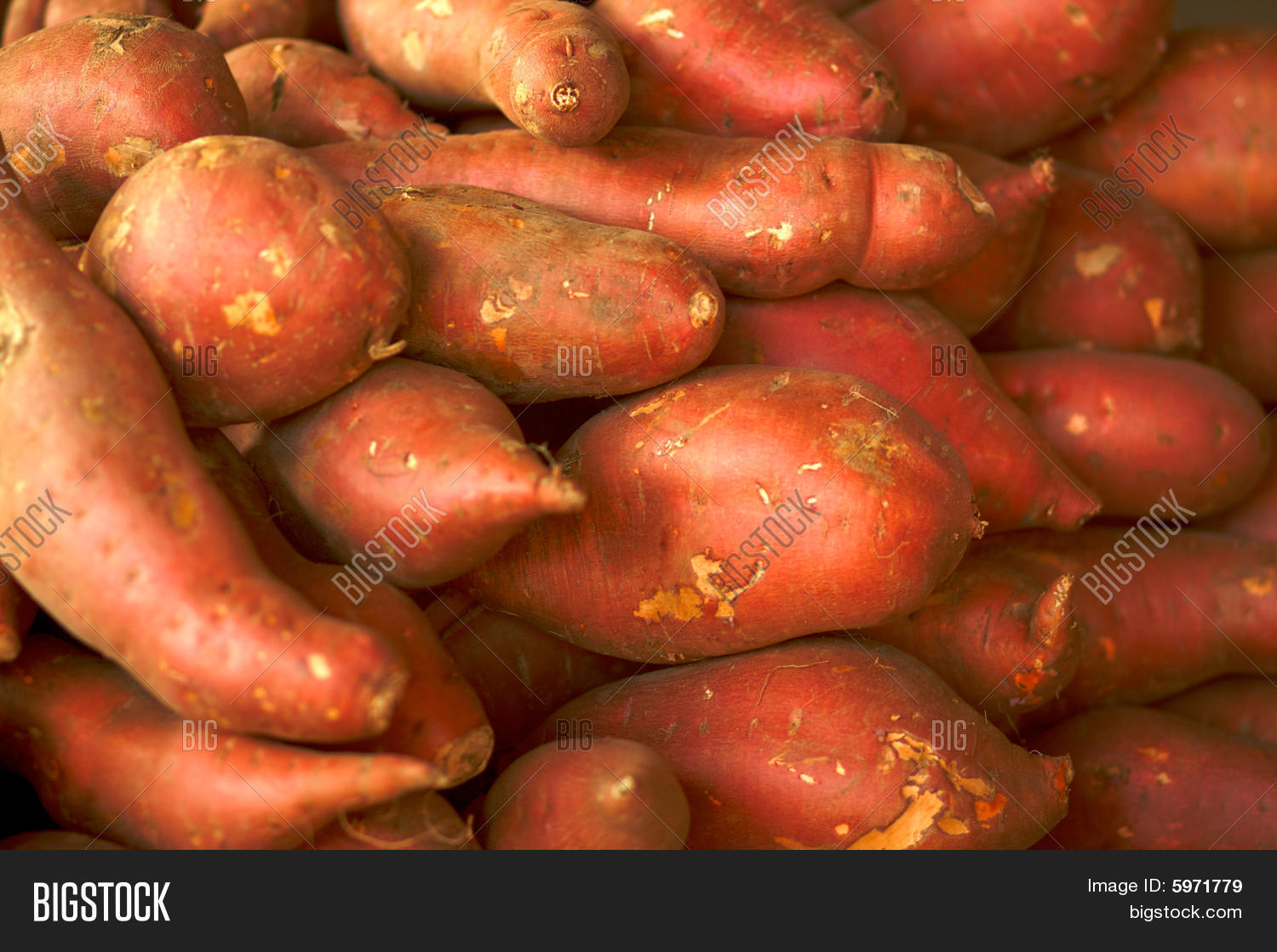 Pile Yams Image & Photo (Free Trial) Bigstock