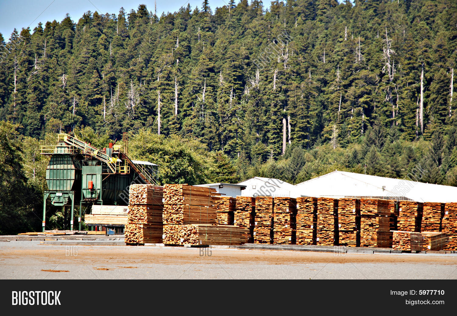 Lumber Mill Image & Photo (Free Trial) Bigstock