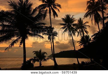 Tropical Beach With Palm Trees At Sunrise, Ang Thong National Marine Park, Thailand