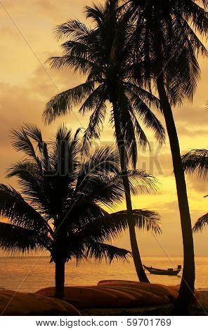 Tropical Beach With Palm Trees At Sunrise, Ang Thong National Marine Park, Thailand