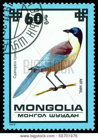 Vintage  Postage Stamp. Blue Magpie.