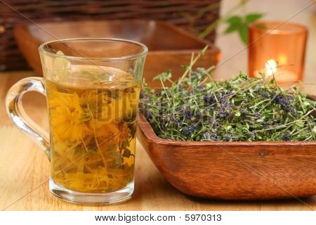 Örter i glas och skål