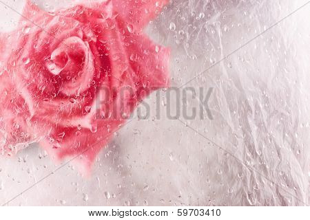 Abstract rose in ice with frozen bubbles