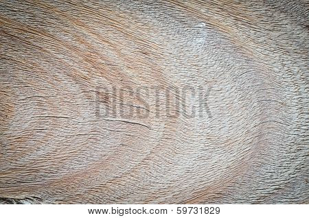 old wood background