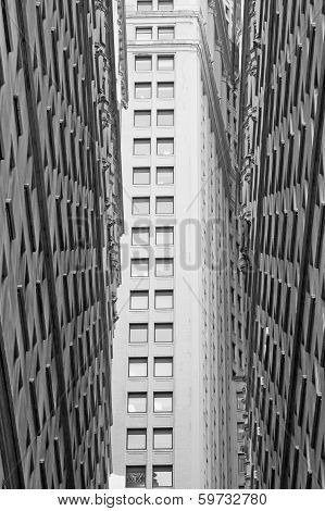 Monochromatic View Of The Skyscrapers