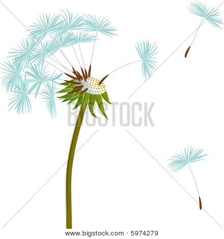 Paardebloem On The Wind