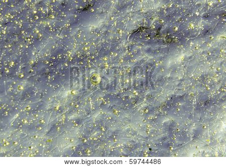 See-green Irregular Texture