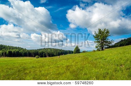 Mountain