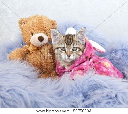 Bed Time Friends