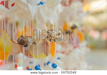 The Handmade Beautiful Shell