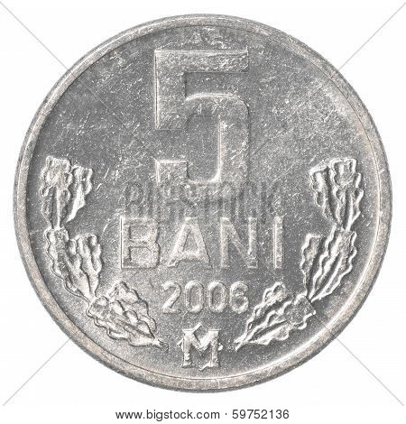 5 Moldovan Bani Coin